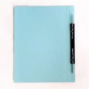 LION SPRING FLAT FILE 420 (PLASTIC FASTENER) Color