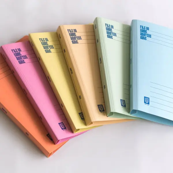 LION SPRING FLAT FILE 420 (METAL FASTENER) | Jiwa Book Store