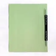 LION SPRING FLAT FILE 420 (PLASTIC FASTENER) Color